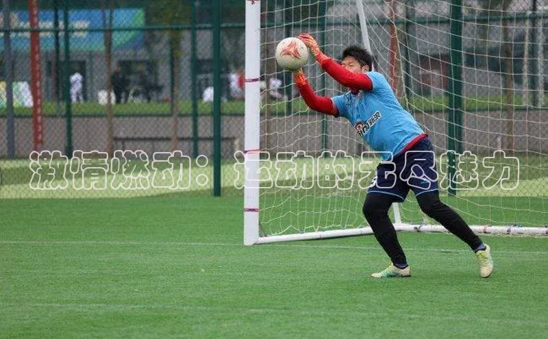 激情燃动：运动的无尽魅力