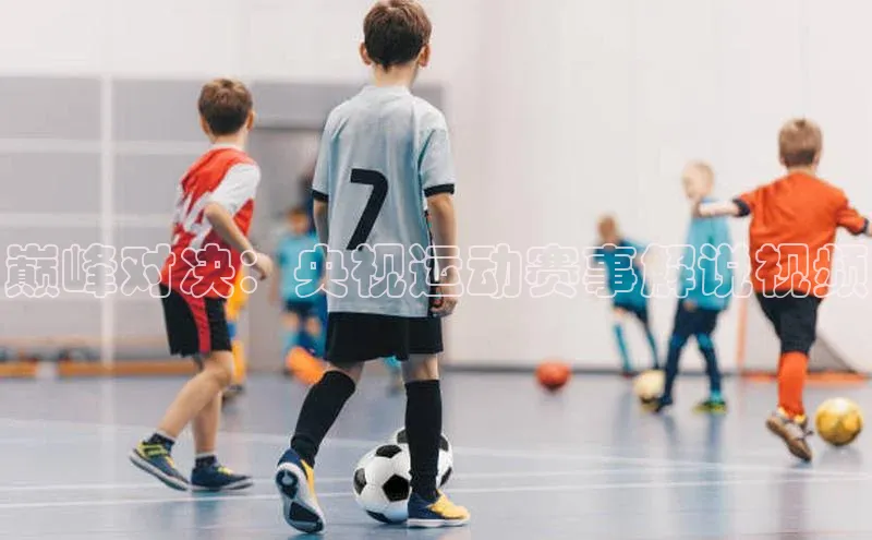 巅峰对决：央视运动赛事解说视频